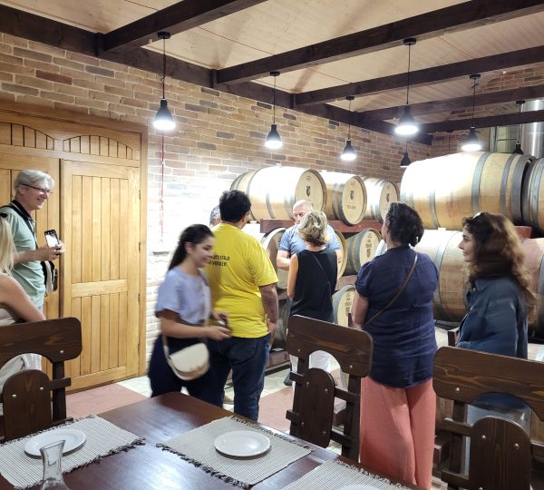 Joint camp- Valeni  village- Moldova
