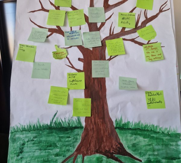 8 Hours overtime event- Hotel Nevada Constanta