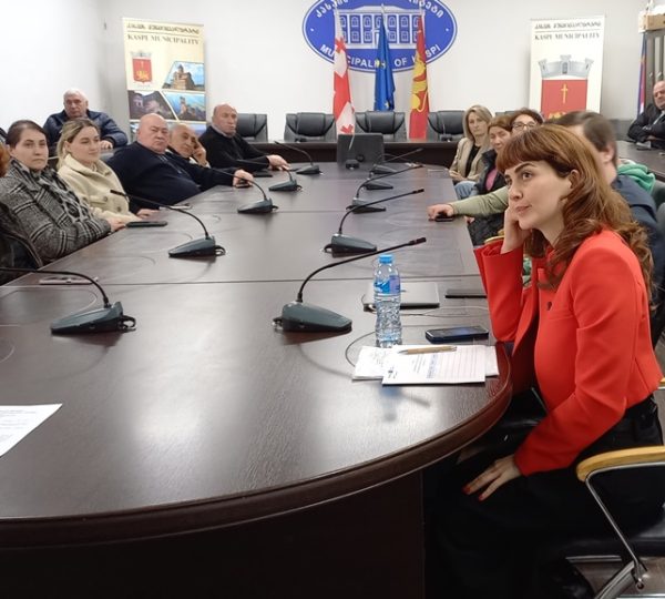 Capacity building session - Kaspi Municipality City Hall