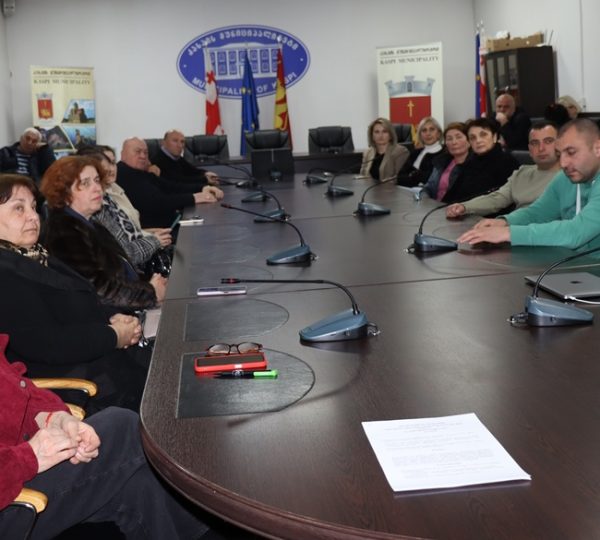 Capacity building session - Kaspi Municipality City Hall