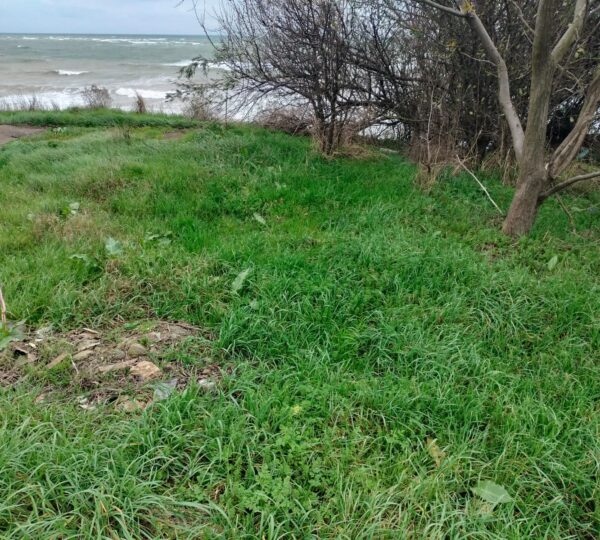 Water & Costal Patrols- 2 Mai