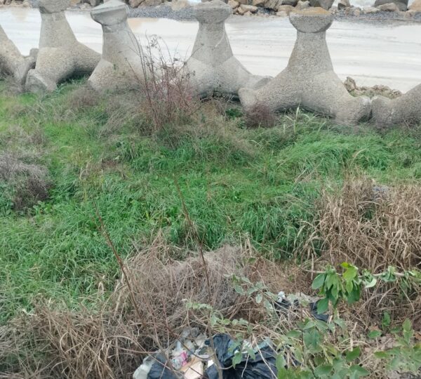 Water & Costal Patrols- Mangalia