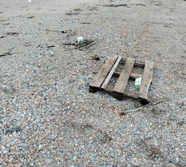 Water & Costal Patrols- Eforie Nord
