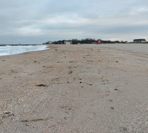 Water & Costal Patrols- Eforie Nord